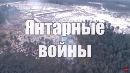 Янтарные войны на подпольных копанках Полесья. Расследование "Страны"