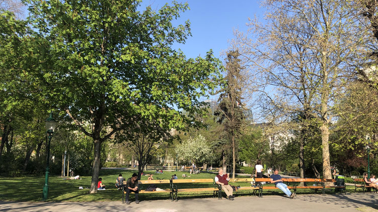 Городской парк Вены. Фото: Страна