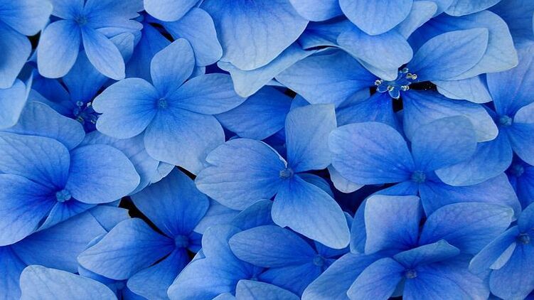 Сегодня именины у Игорей