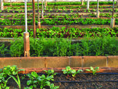 Лунный посевной календарь на всю весну 2022. График по дням для огородника и садовода