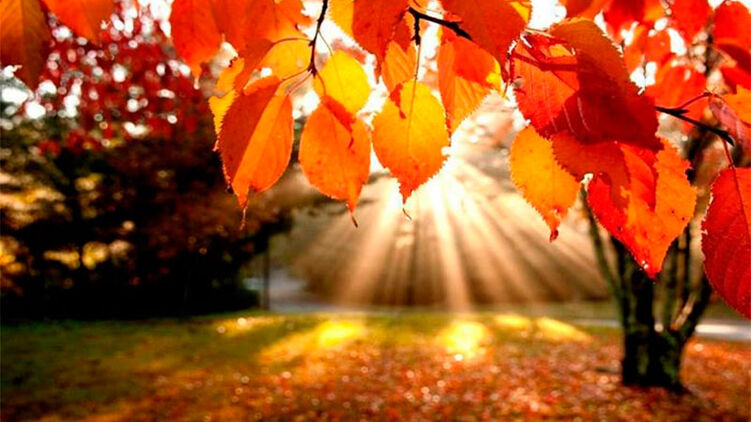 23 сентября 2023 года отмечается народный праздник - День осеннего равноденствия 