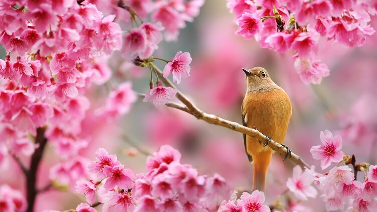 Открытка с началом весны