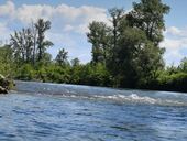 В Закарпатье мужчины прорвали сетку на границе, чтобы нелегально перейти Тису. Видео