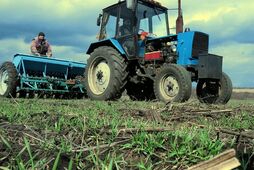 З ухилянтів та сезечешників - у "раби". Як в Україні з'явилася схема трудового притулку