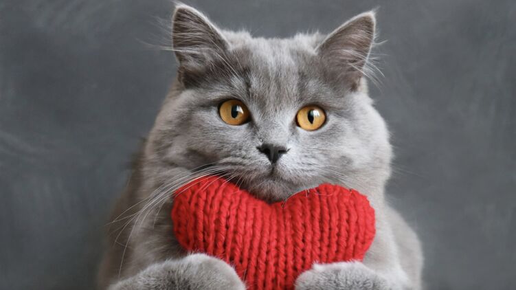 Открытка по случаю Дня влюбленных