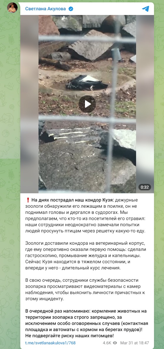 Скриншот поста Акуловой