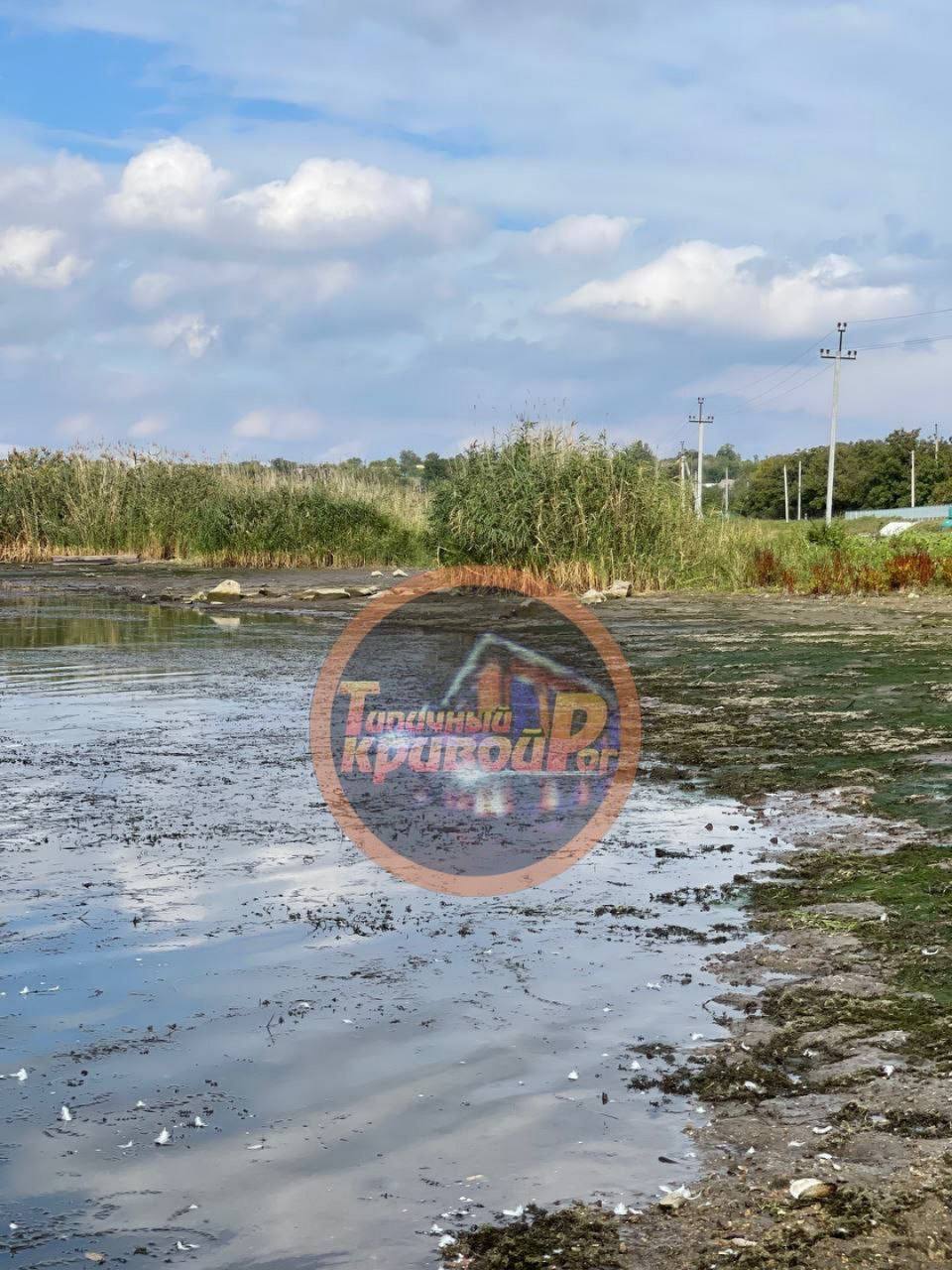 Фото Ингульца