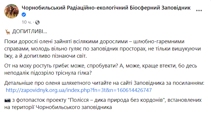 В Чернобыльском заповеднике рассказали о благородном олене