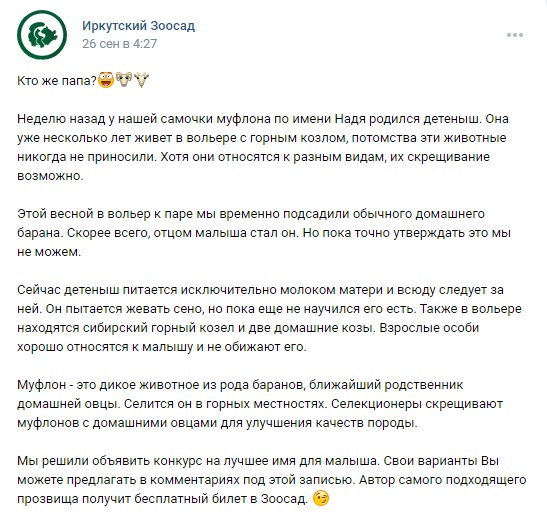 Скриншот из ВКонтакте Иркутского зоосада