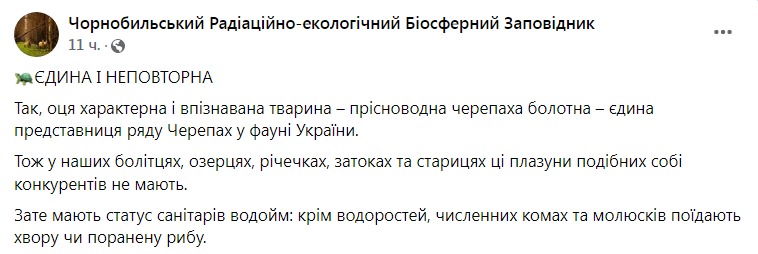 Скриншот из Фейсбука Чернобыльского заповедника 