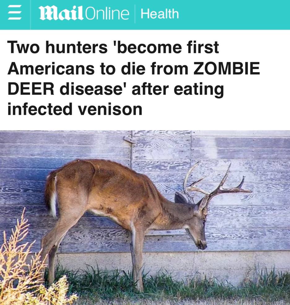 Два охотника стали первыми американцами, умершими от болезни зомби-оленей после употребления зараженной оленины": зомби-вирус, превращающий мозг в губку, добрался до человека - летальность нового вируса 100%