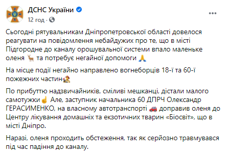 Под Днепром спасли олененка