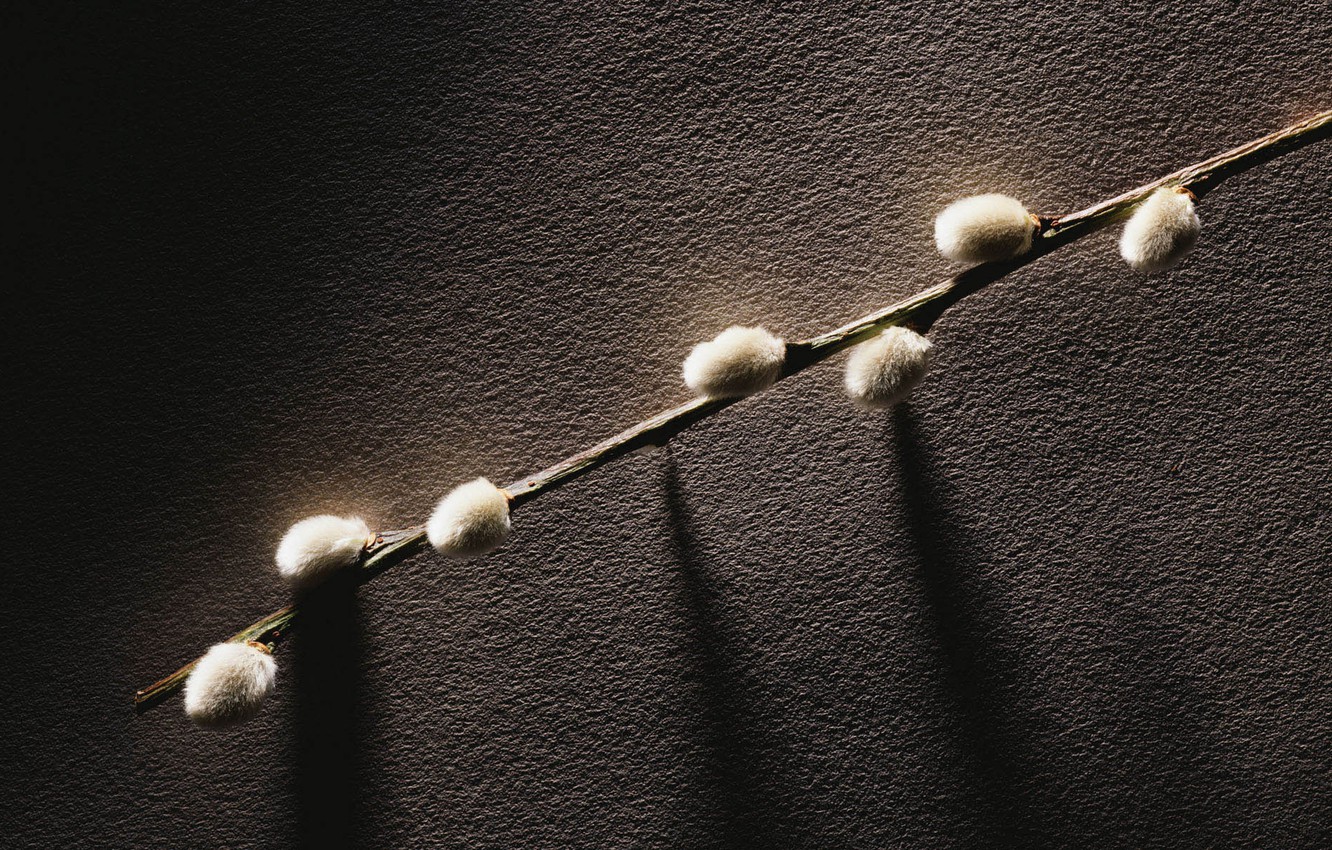 Лазарева суббота 24 апреля