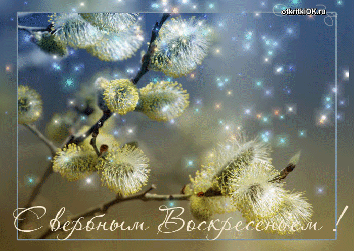с вербным воскресеньем, otkritkiok.ru