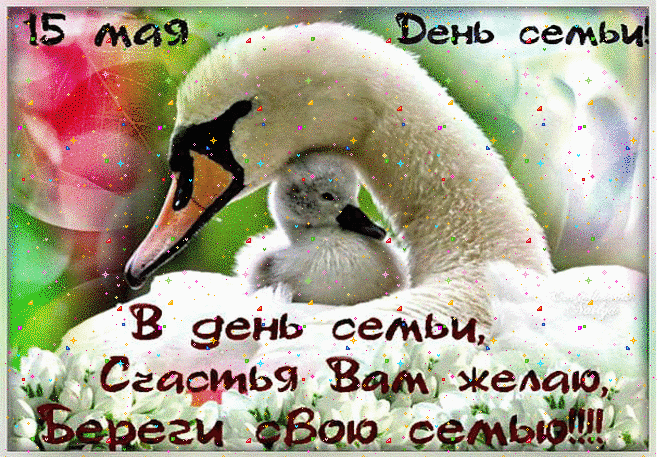 с днем семьи гифка