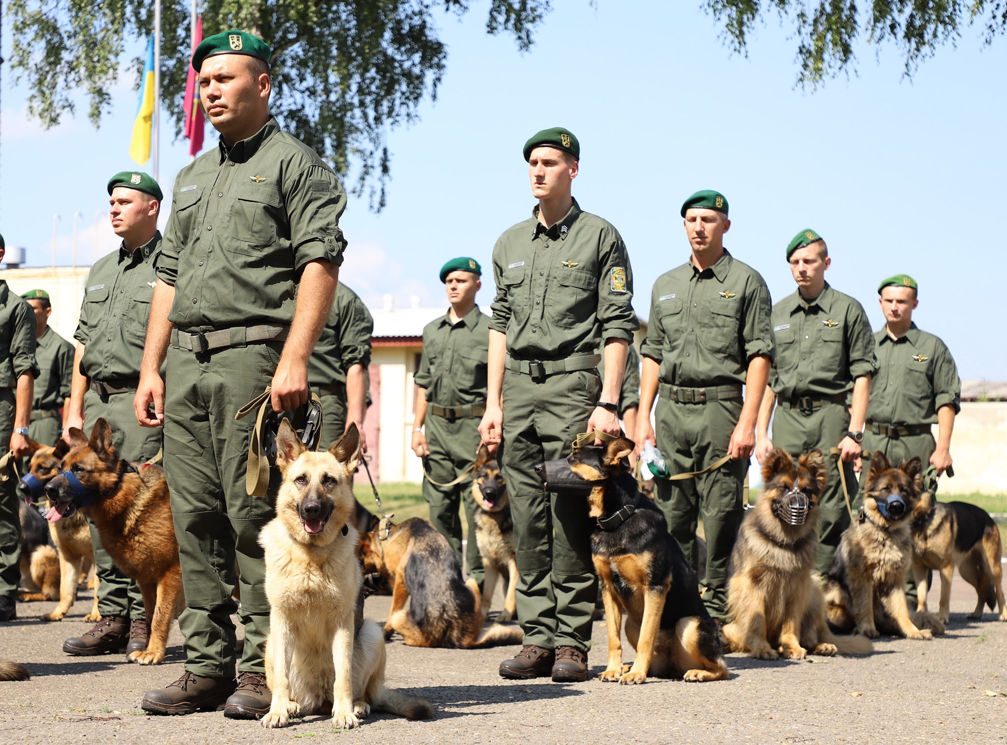 Кинологи с собаками уже тренируются для участия в параде к 30-летию Независимости Украины