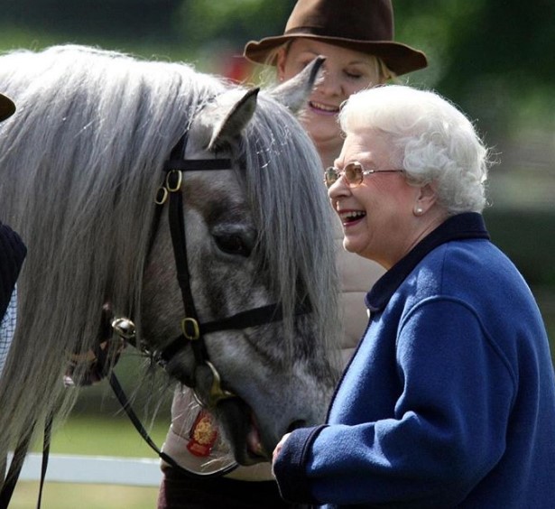 Елизавета вторая на конной прогулке. Фото: Instagram 