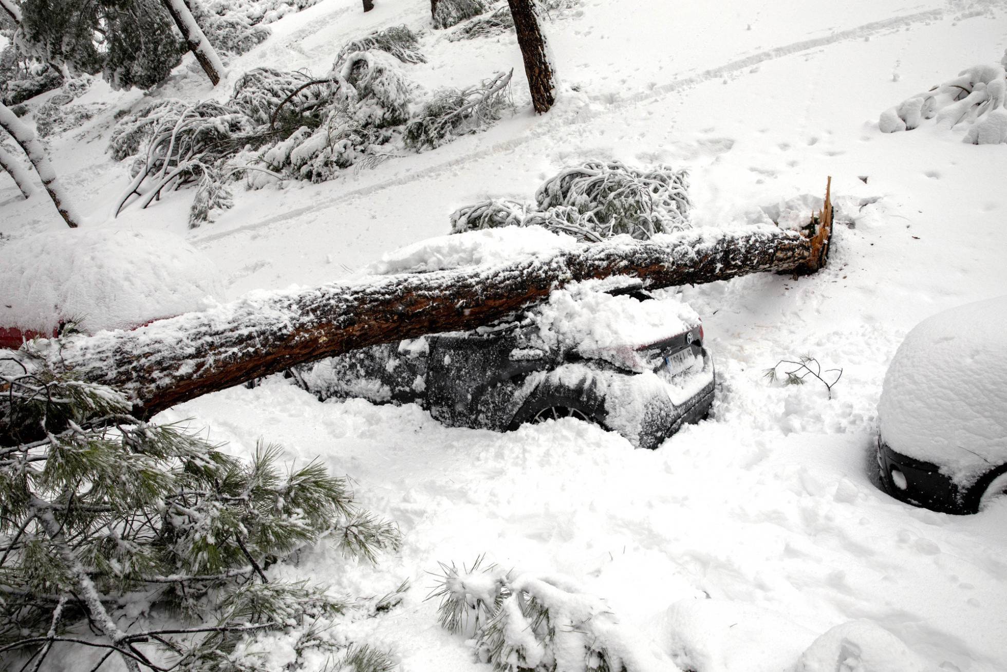Испанию парализовали сильнейшие снегопады за последние 50 лет. Фото: El Pais