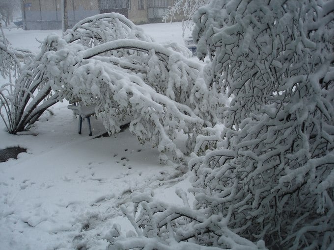 В Гидрометцентре напомнили о последствиях самого масштабного за 150 лет снегопада