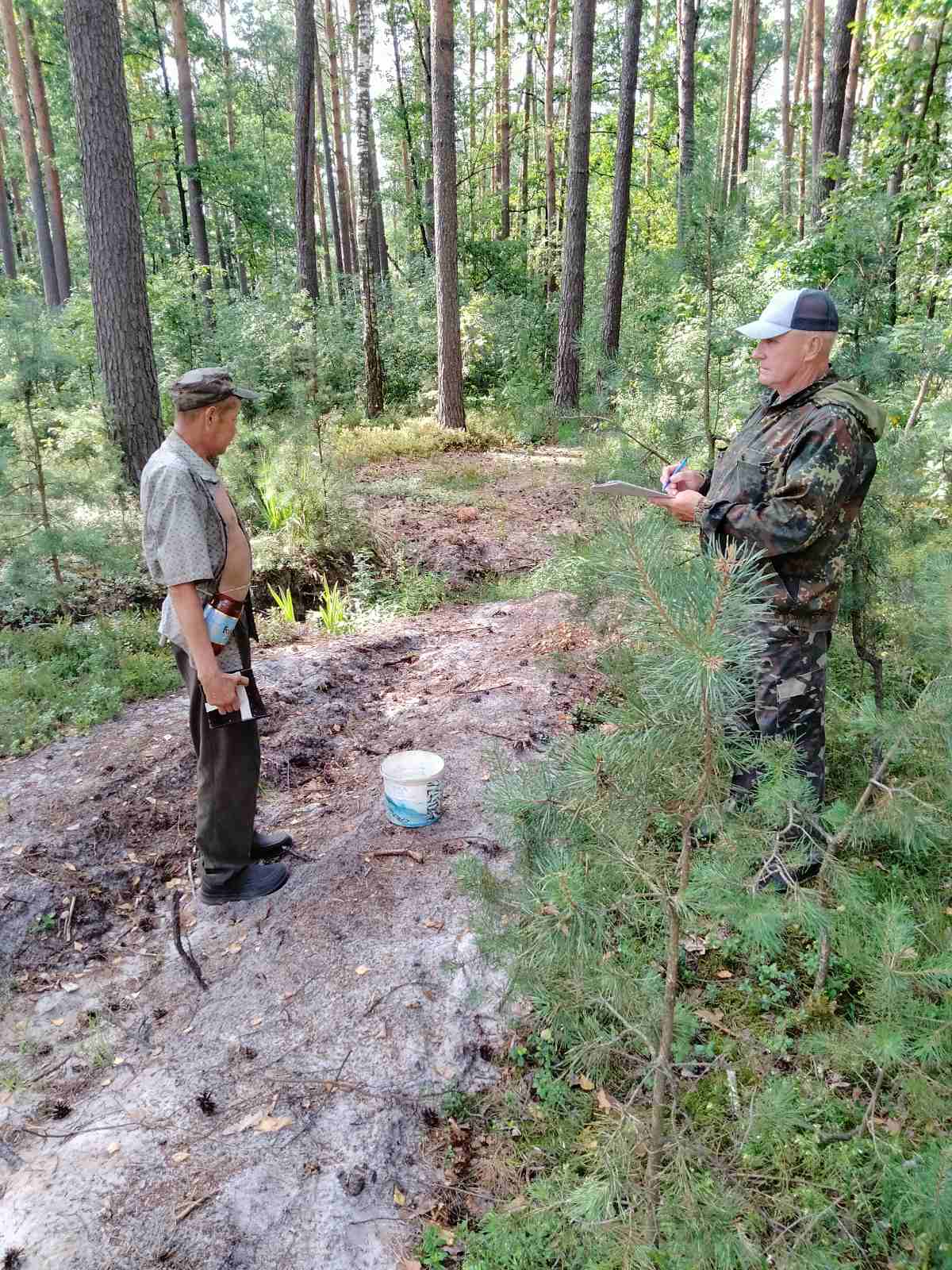 Фото: в лесах Ровенской области было выявлено 10 таких нарушений