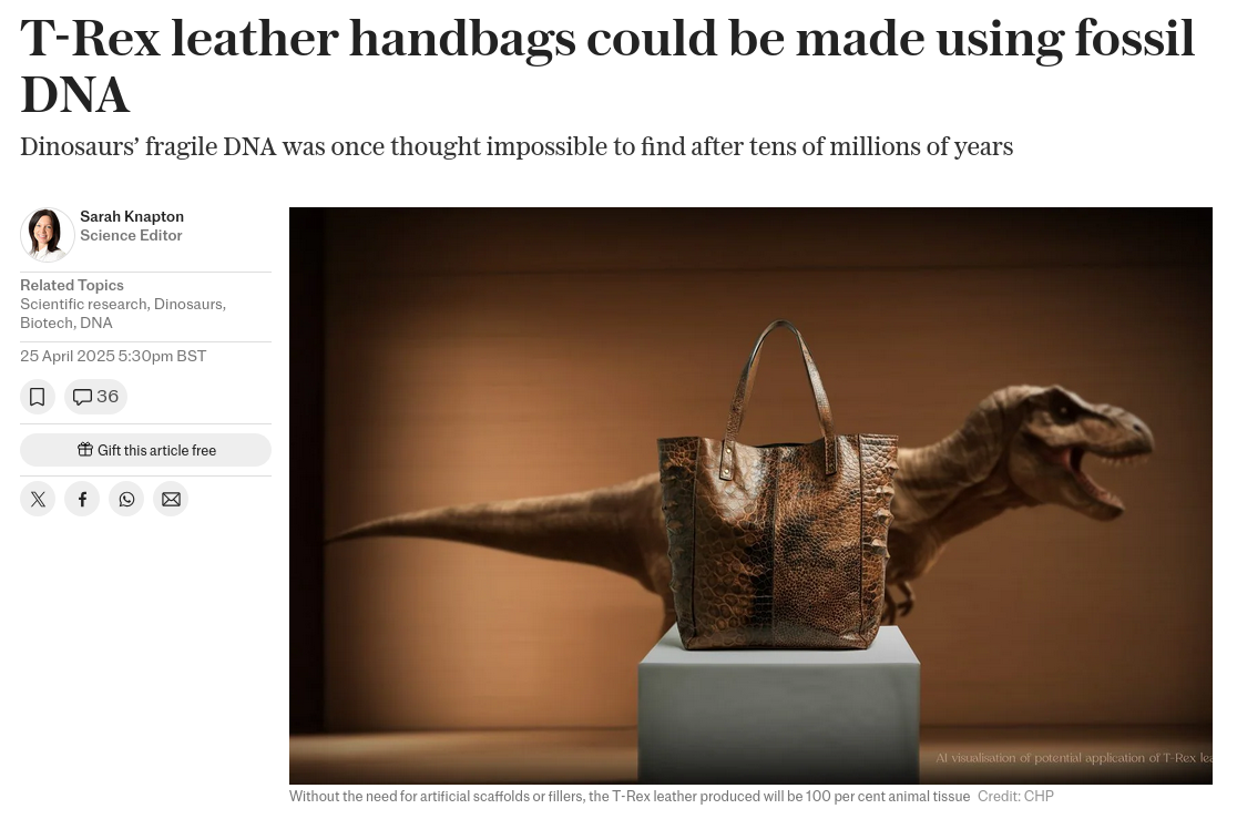 Снимок заголовка на telegraph.co.uk